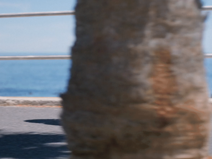 LIVE THE CITY IN JOCKEY