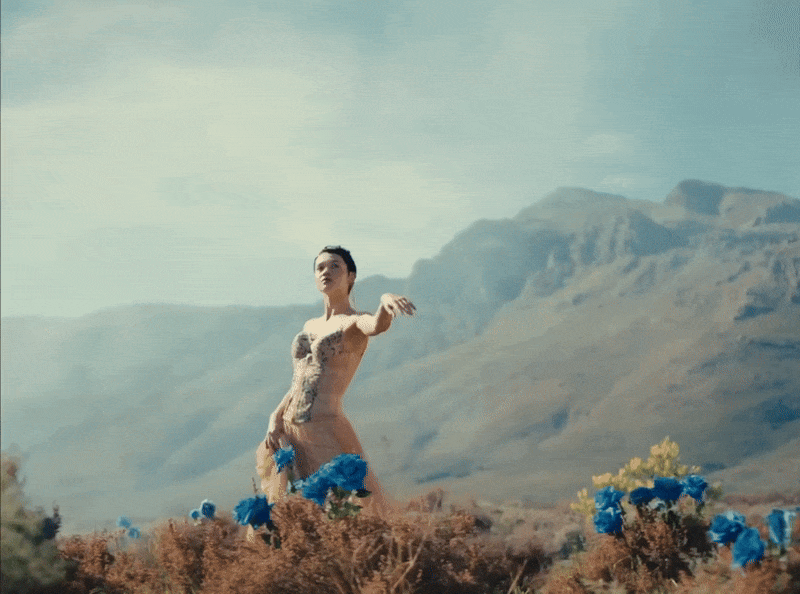 ENAMOR PAPA DON’T PREACH